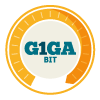 Gigabit provider