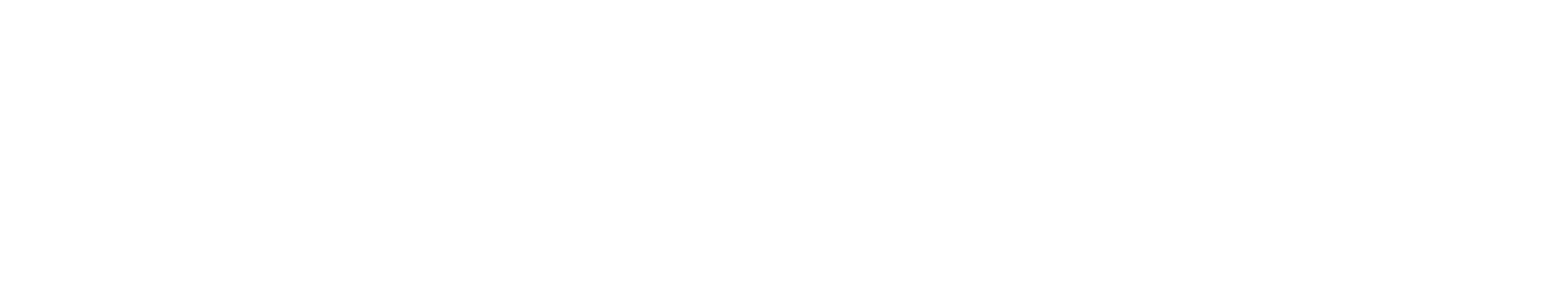 Zicht-ICT